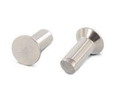 Заклепка алюминиевая 10*28  3143180