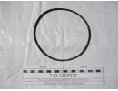 Кольцо насоса водяного КАМАЗ (ОАО Балаковорезинотехника) 740-1307075